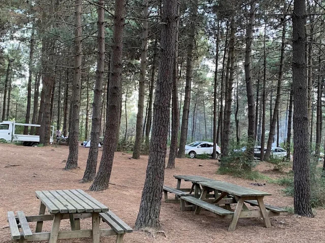 Göztepe Tabiat Parkı