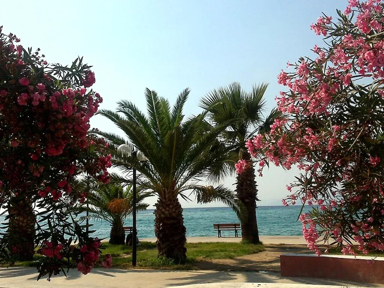 Green Beach - 2