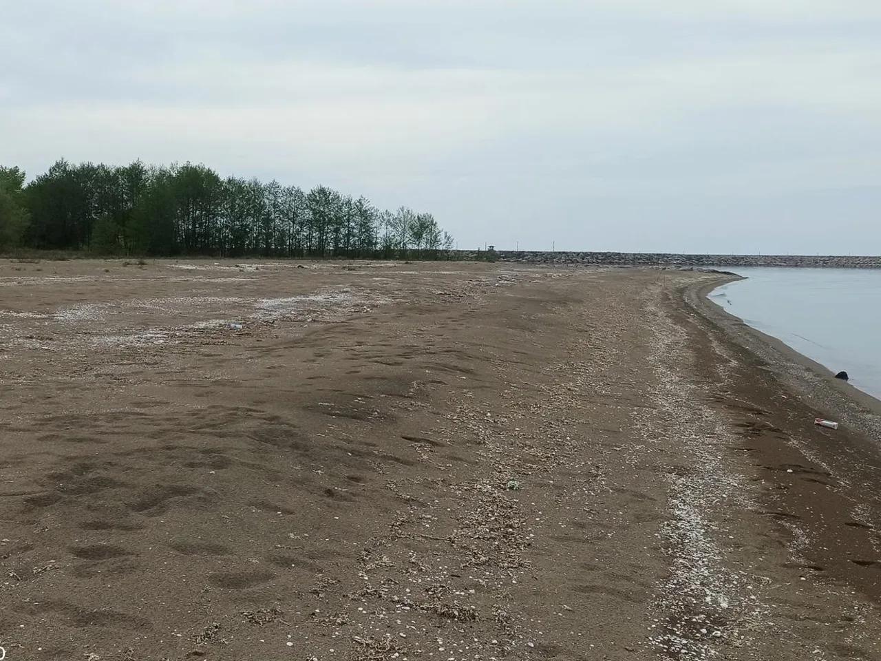 Gülyalı Ayrılık Tır Parkı Önü - 2