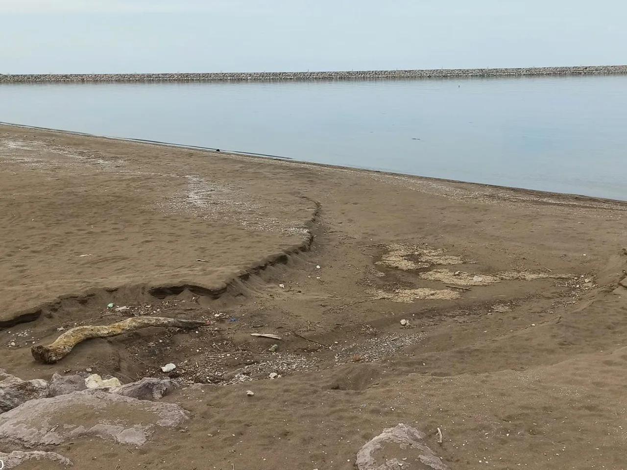 Gülyalı Ayrılık Tır Parkı Önü - 3