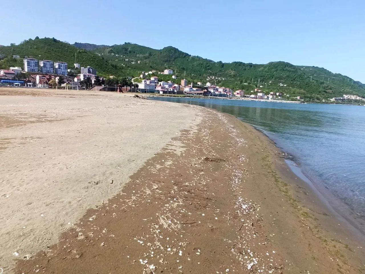 Gülyalı Çikolata Park Plajı - 4