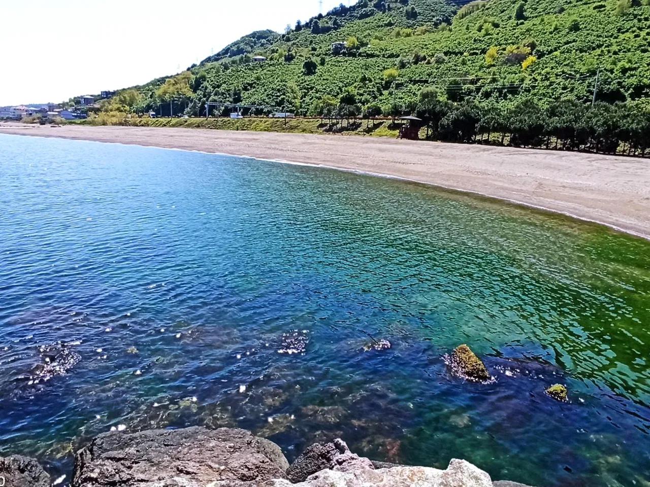 Gülyalı Halk Plajı - 2