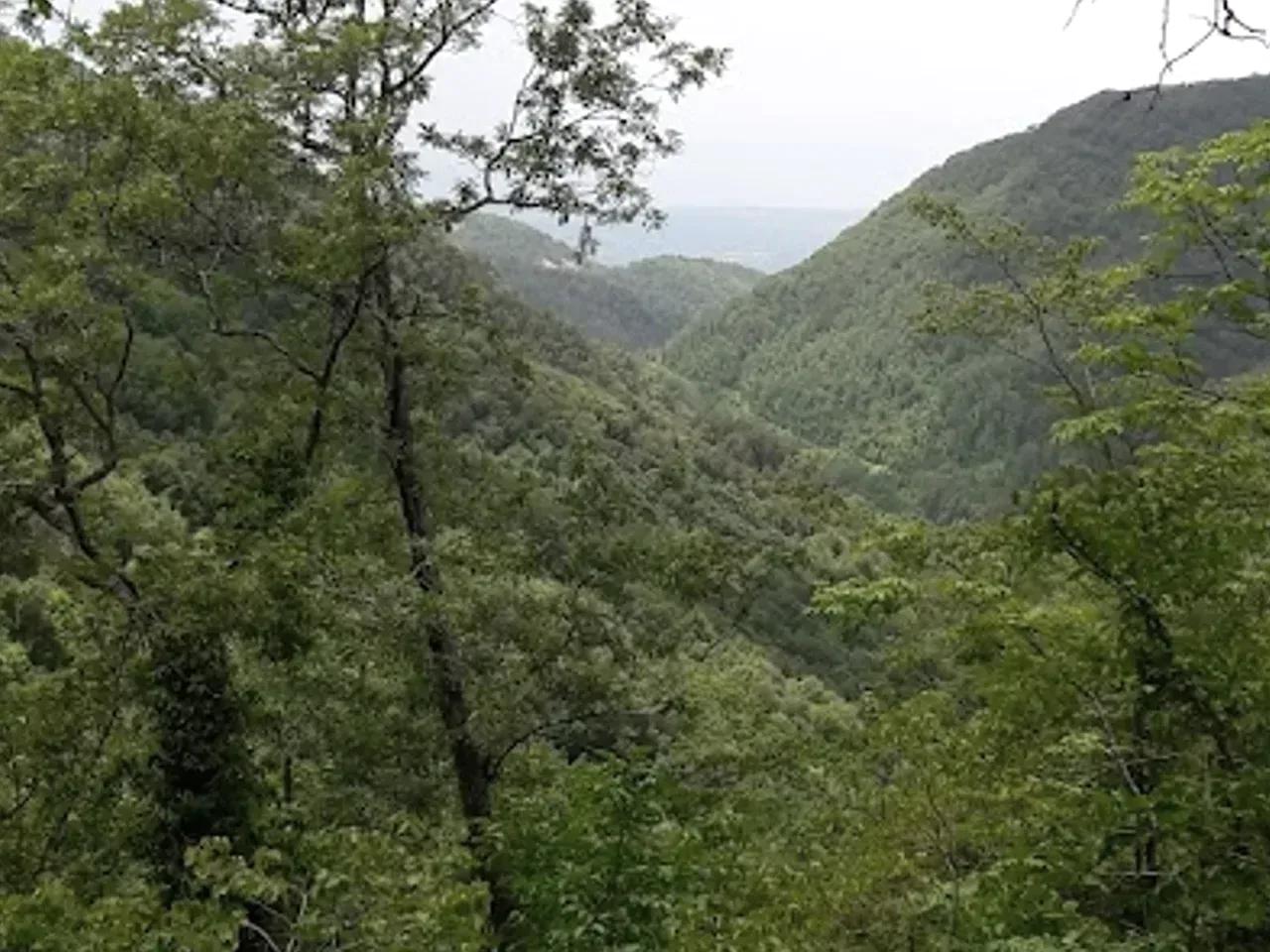 Gümuşoluk Yaylası