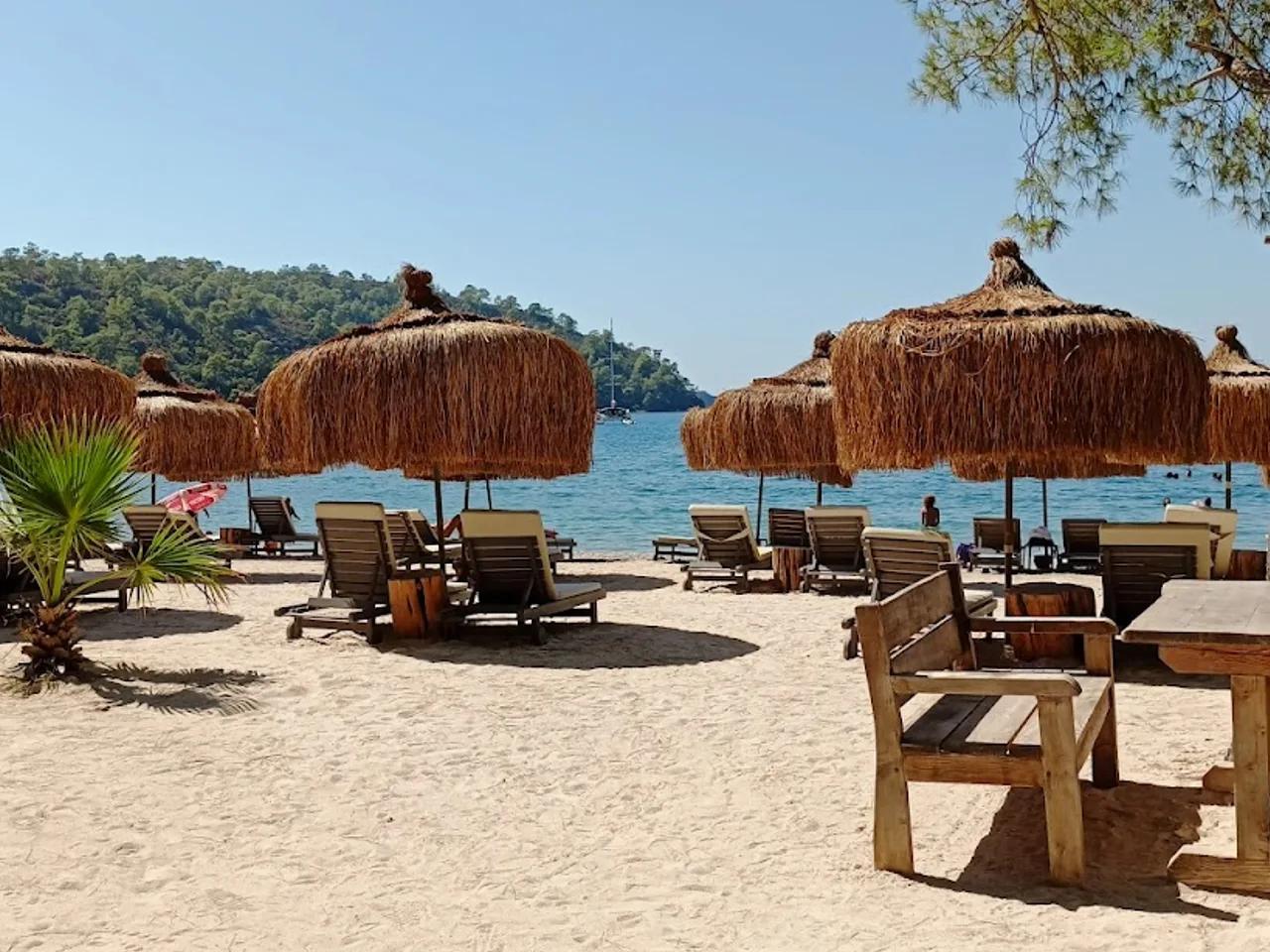 Günlük Koyu - 1