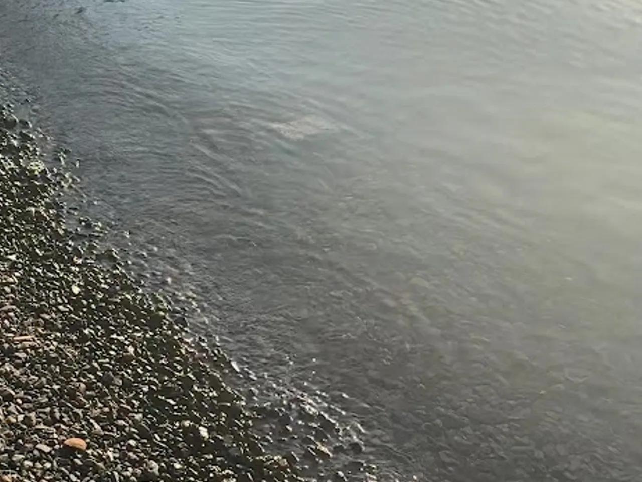 Günlük Koyu - 2