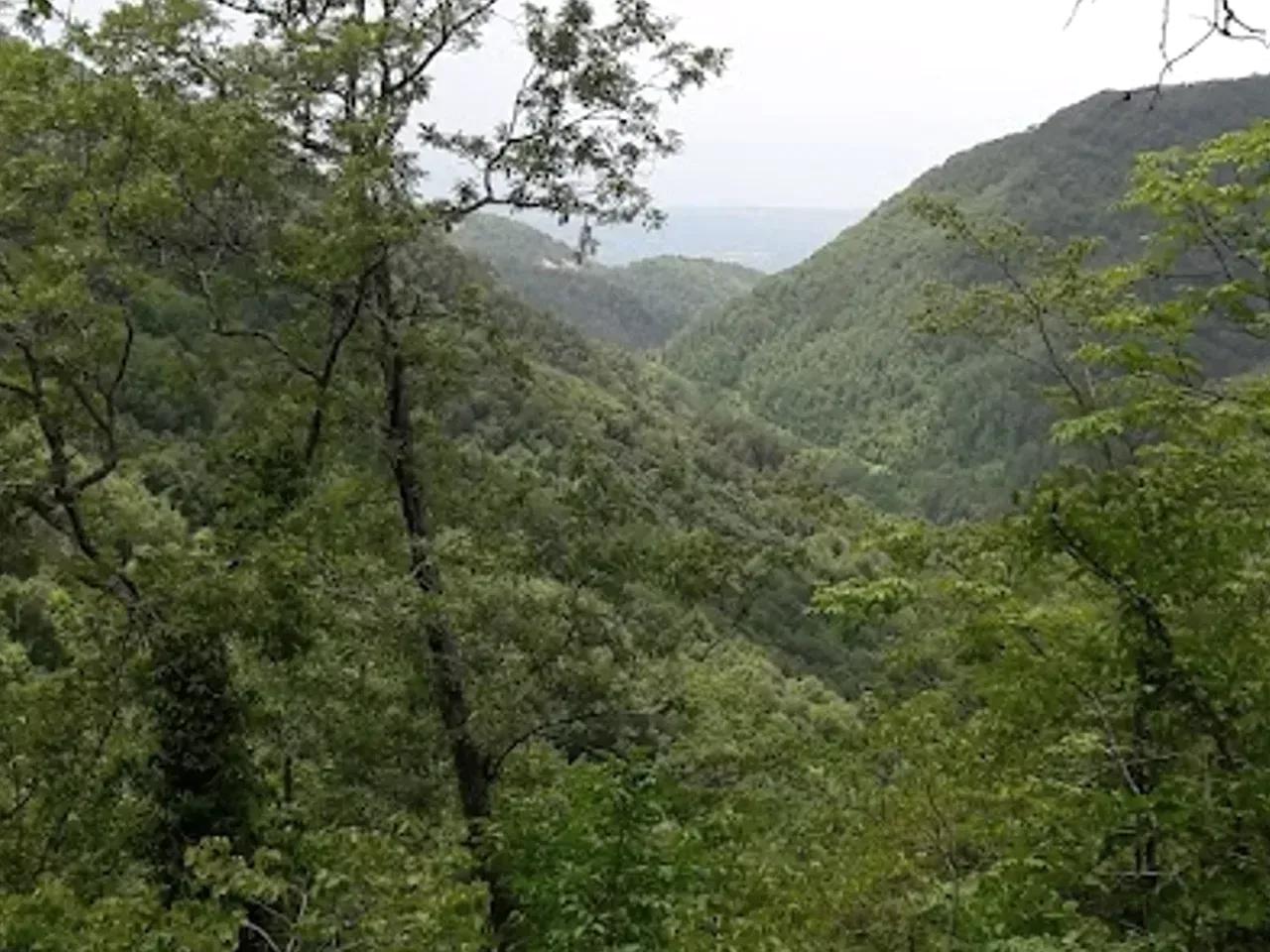 Güvenç Yaylası