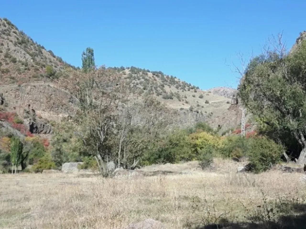 Güzel Yaylası - 2