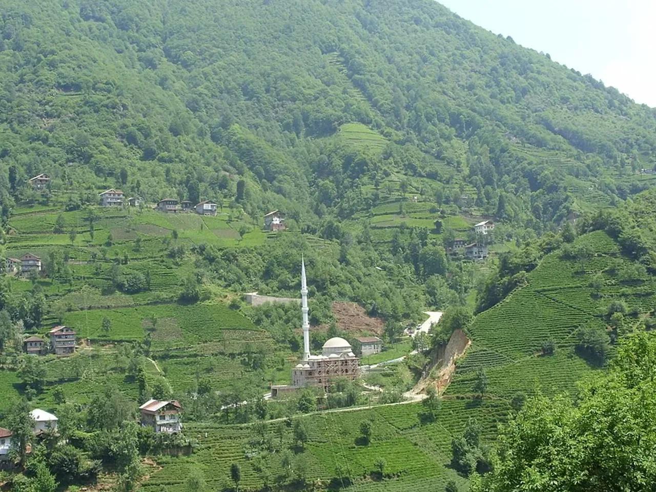 Handüzü Tabiat Parkı - 2