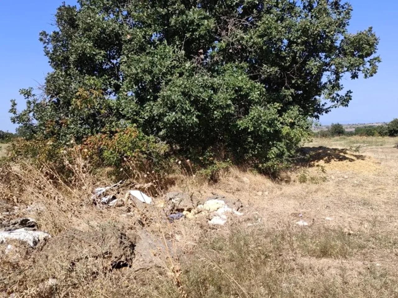Hanliyenice,Hanlıyenice-Otoban - 3