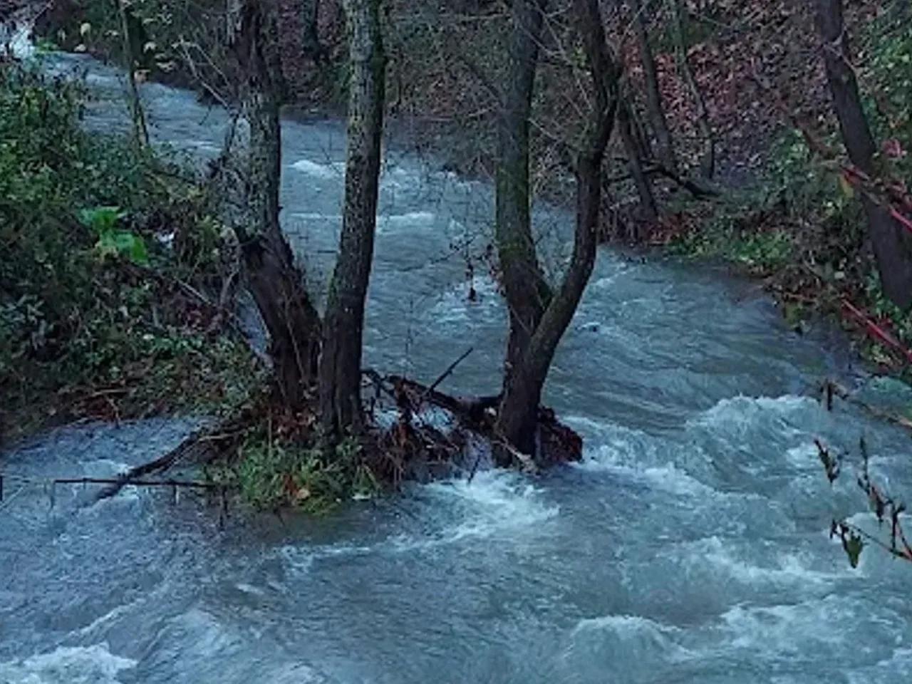 Harmankaya Tabiat Parkı (Yalova) - 3