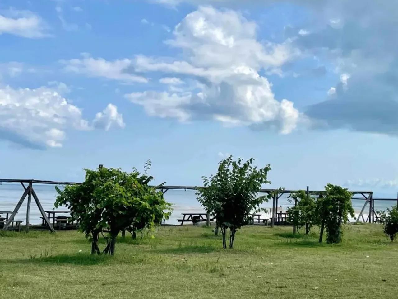 Hasançavuş,8 Karasu Şile Yolu - 2