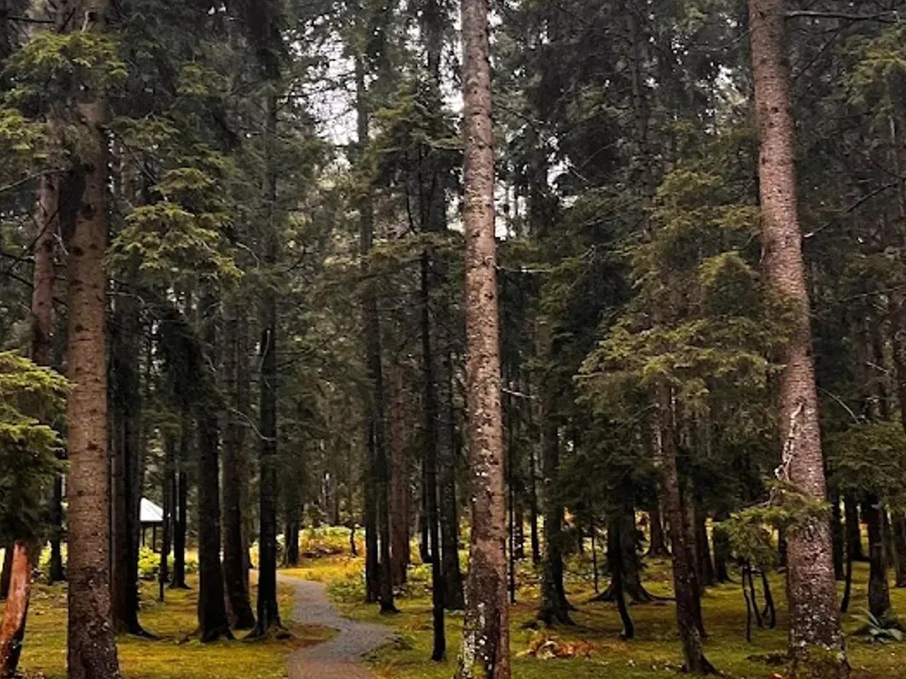 Hıdırnebi Yaylası
