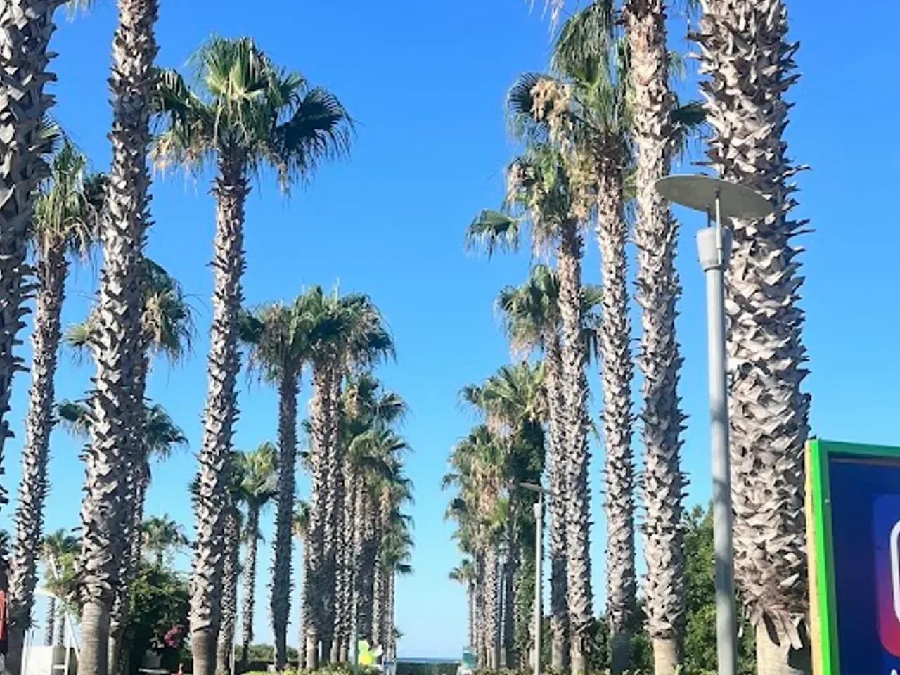 Hilton Dalaman Sarigerme Resort&Spa - 2