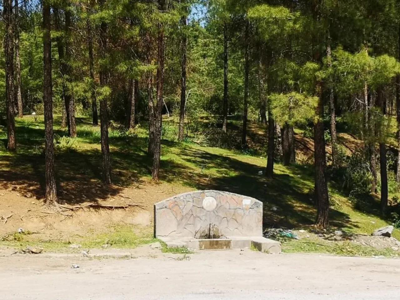 Hisar,D410 - 1