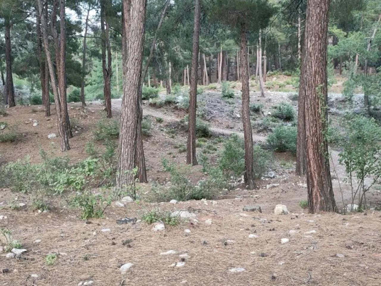Hisarçandır,Hisarçandır Konyaalti Yolu - 2