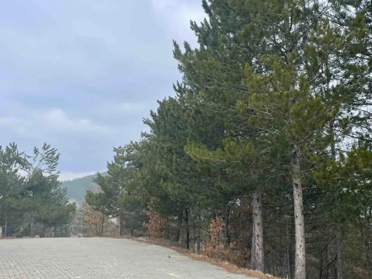 Hızırfakı, - 2