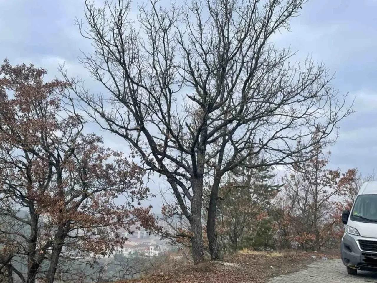 Hızırfakı, - 3