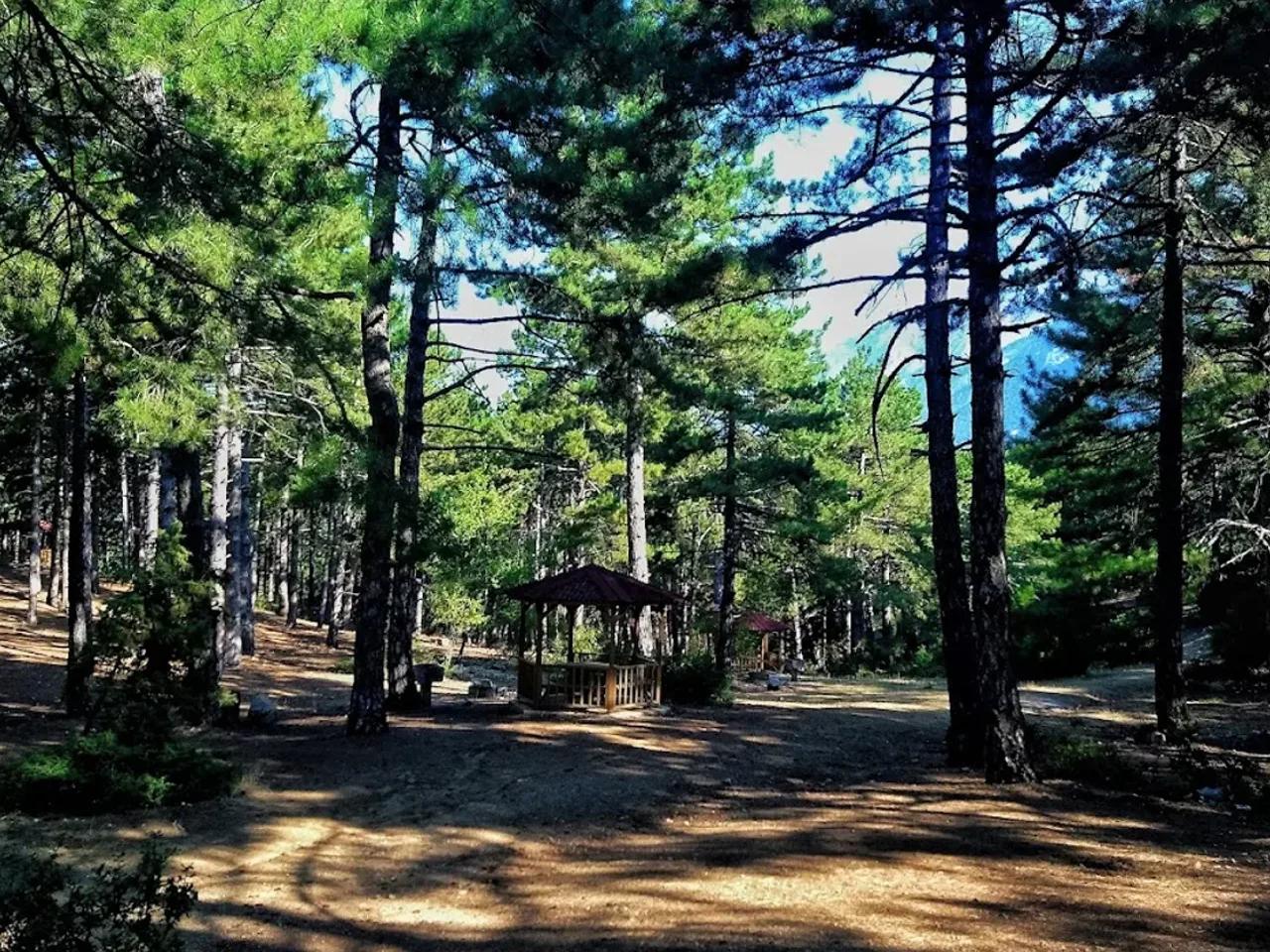 Honaz Dağı Milli Parkı - 4