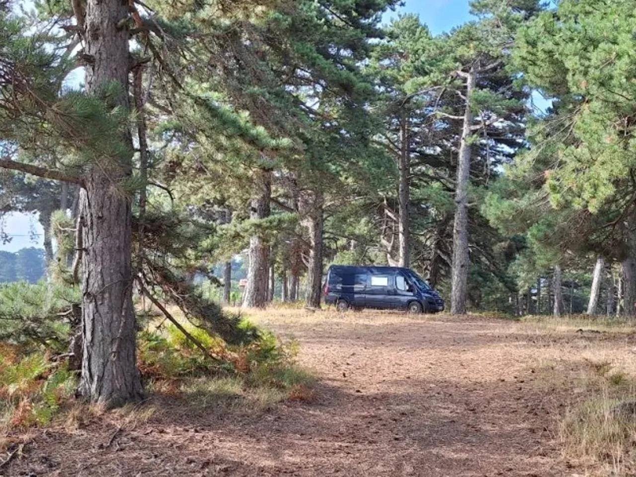 Hüseyinalan, - 2