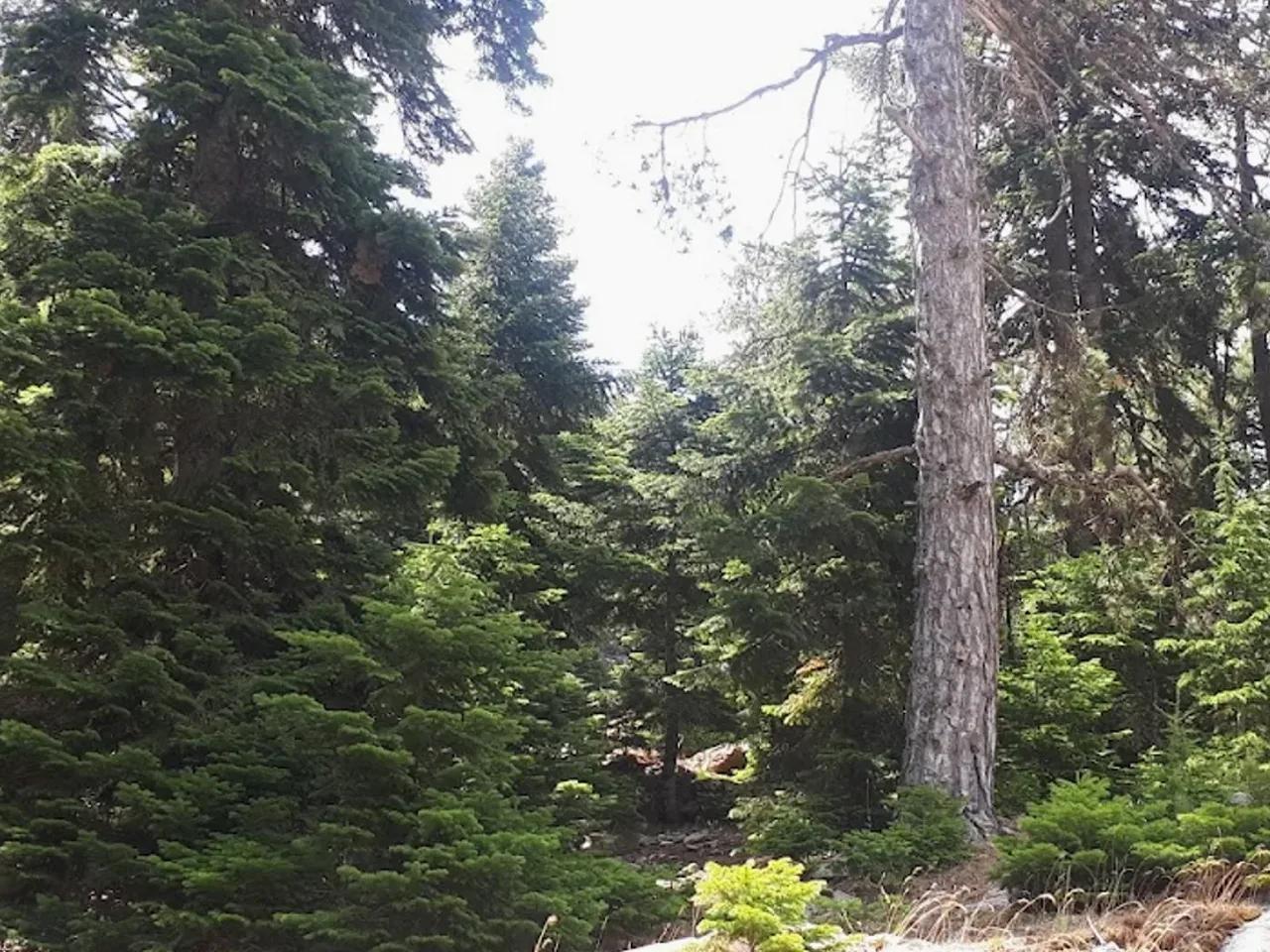 Huzurlu Tabiat Parkı - 4