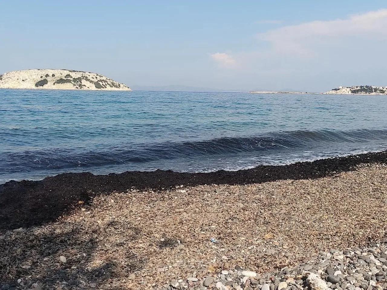 İğdeleraltı Plajı - 3