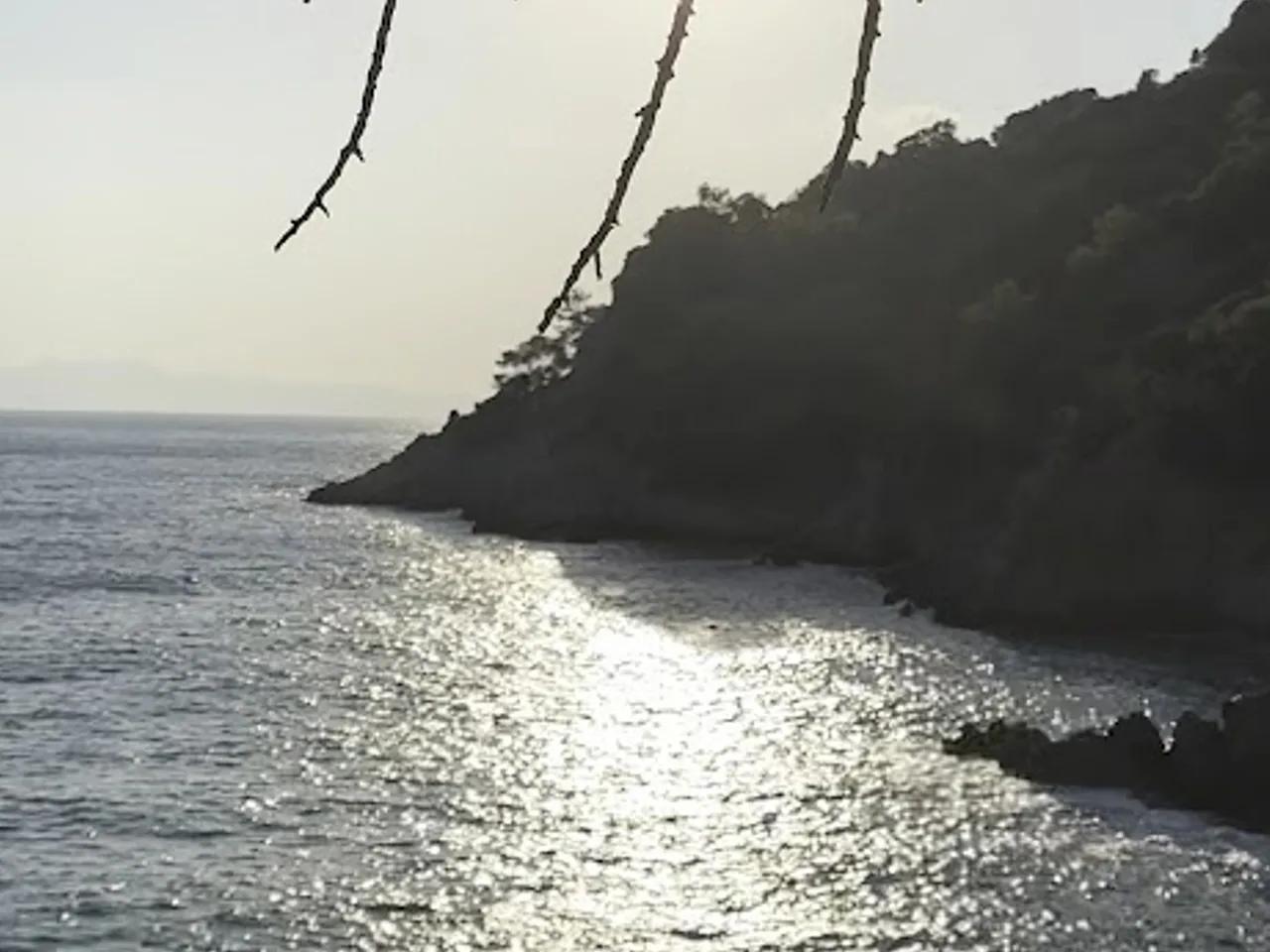 İN ARDI KOYU - 3