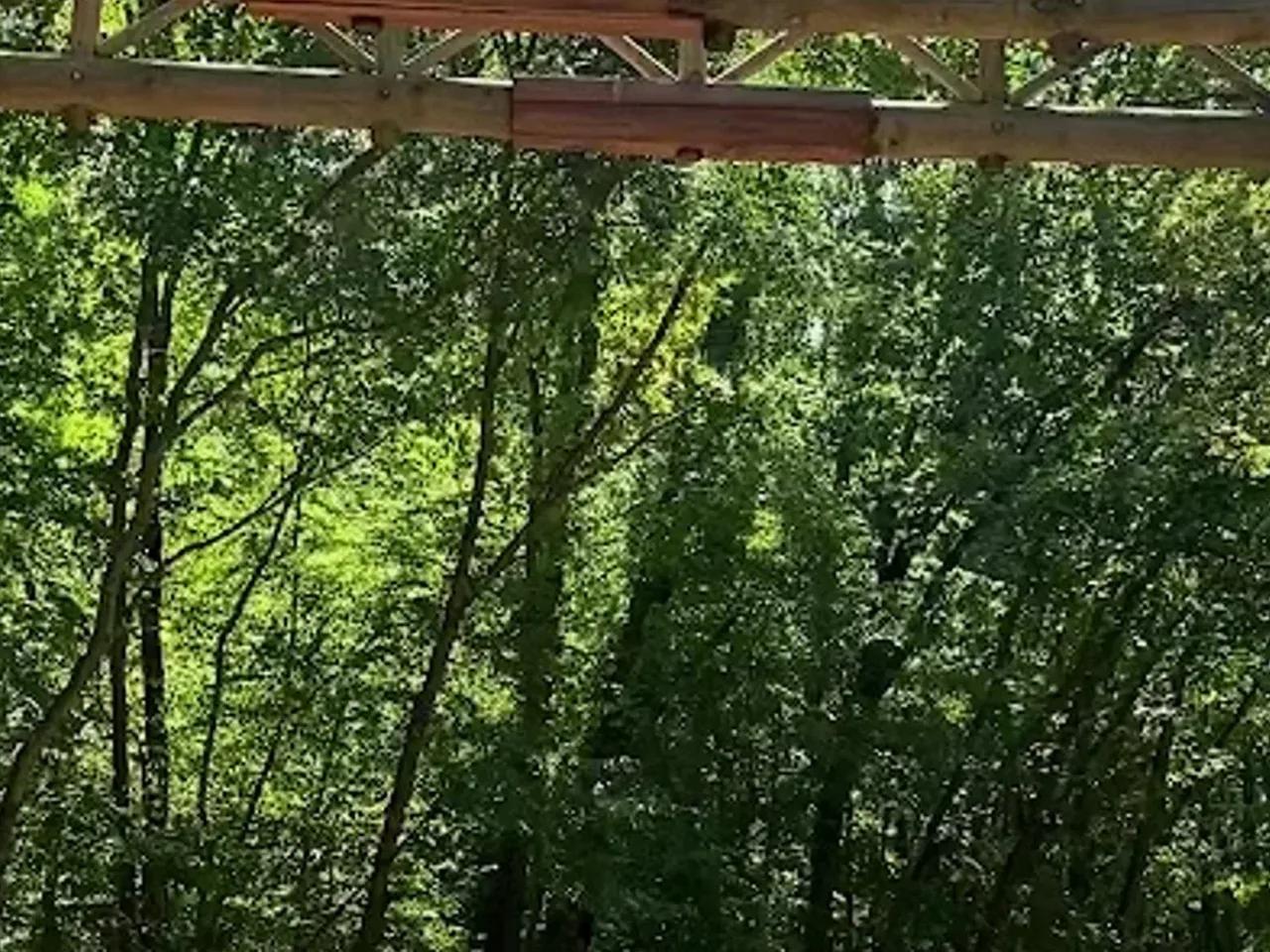 İğneada Longoz Ormanları Milli Parkı - 2