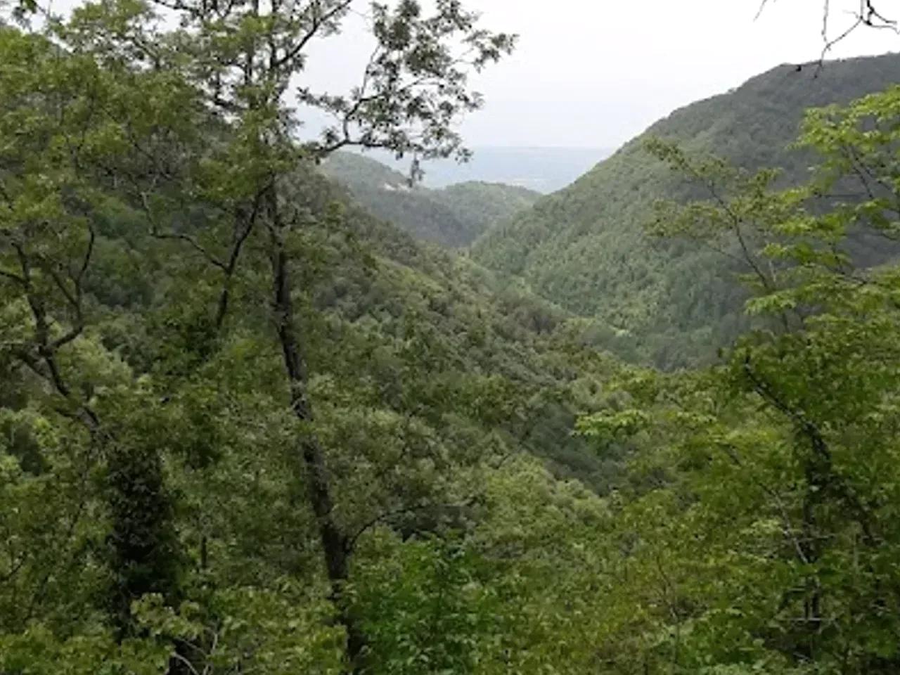 Ikidiplı Yaylası