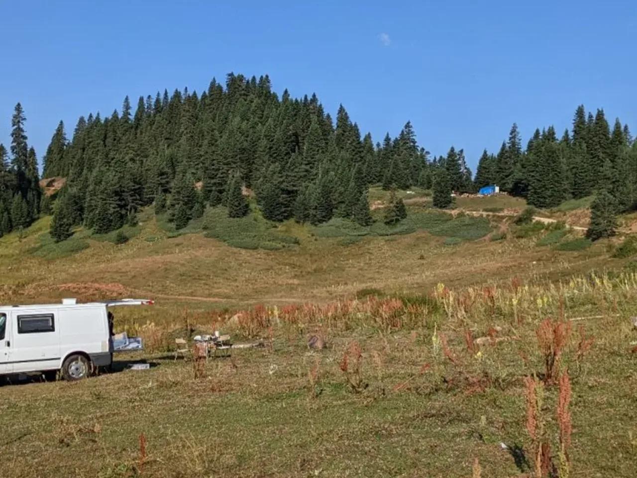 Ilgaz, - 1