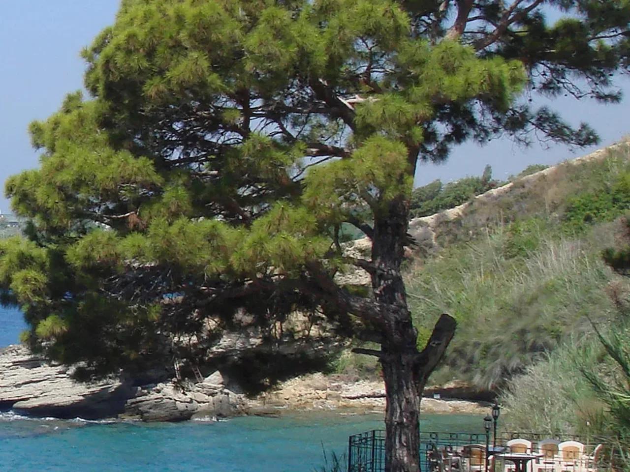 İncekum Tabiat Parkı - 4