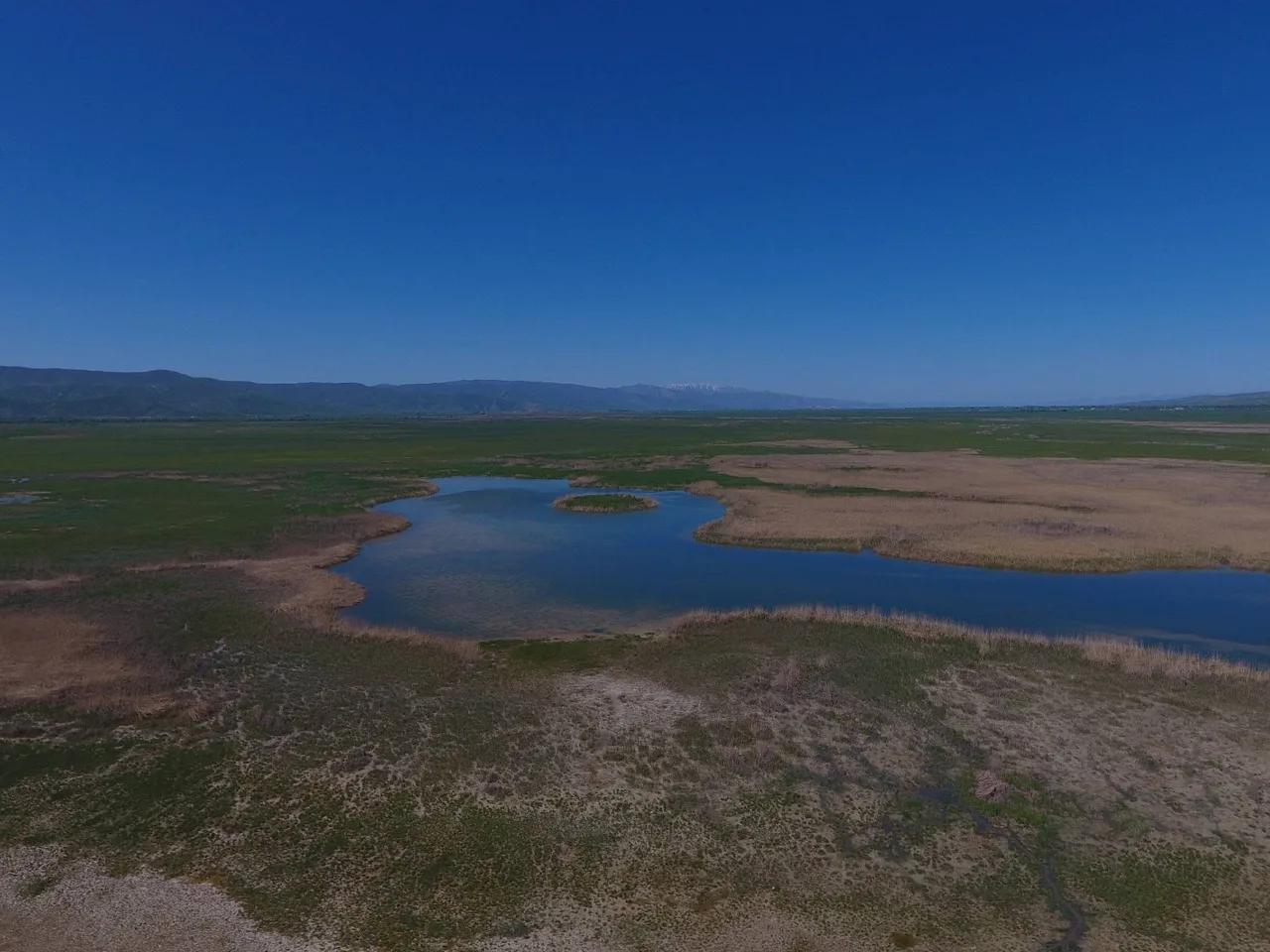 İron Sazlığı Sulak Alanı - 2