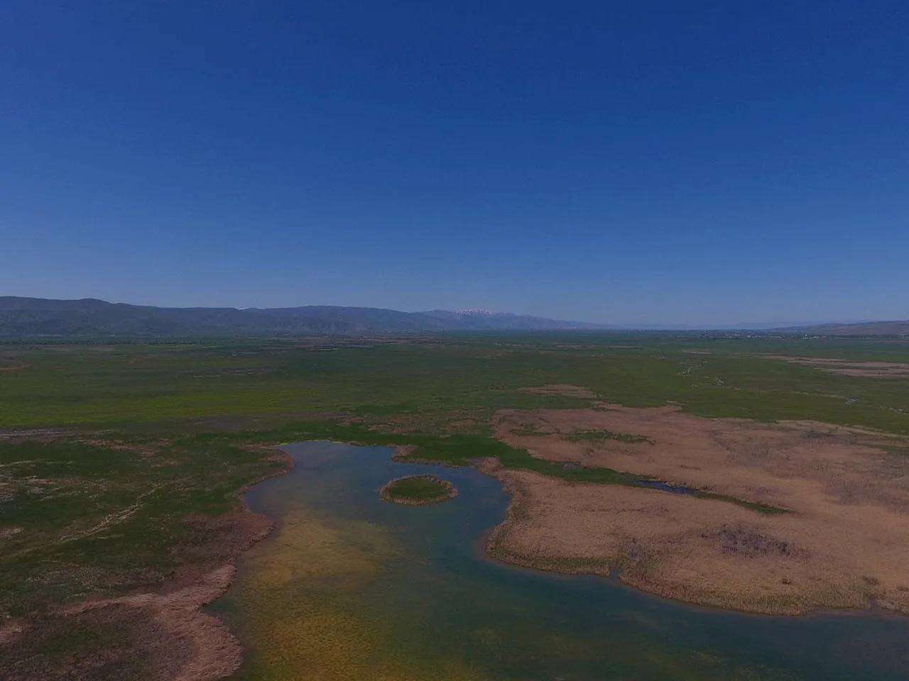 İron Sazlığı Sulak Alanı