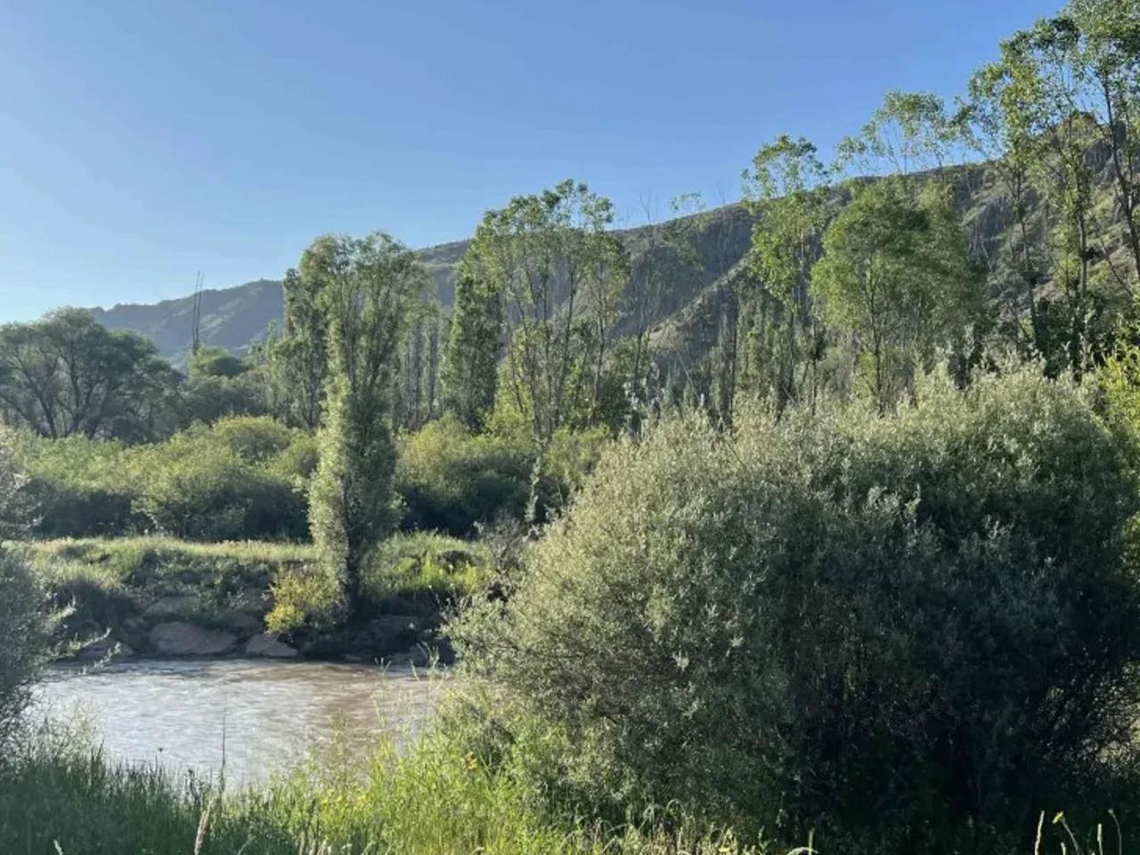Işıklı Yayla - 2