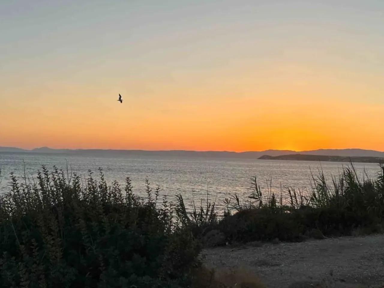 İzmir, - 1