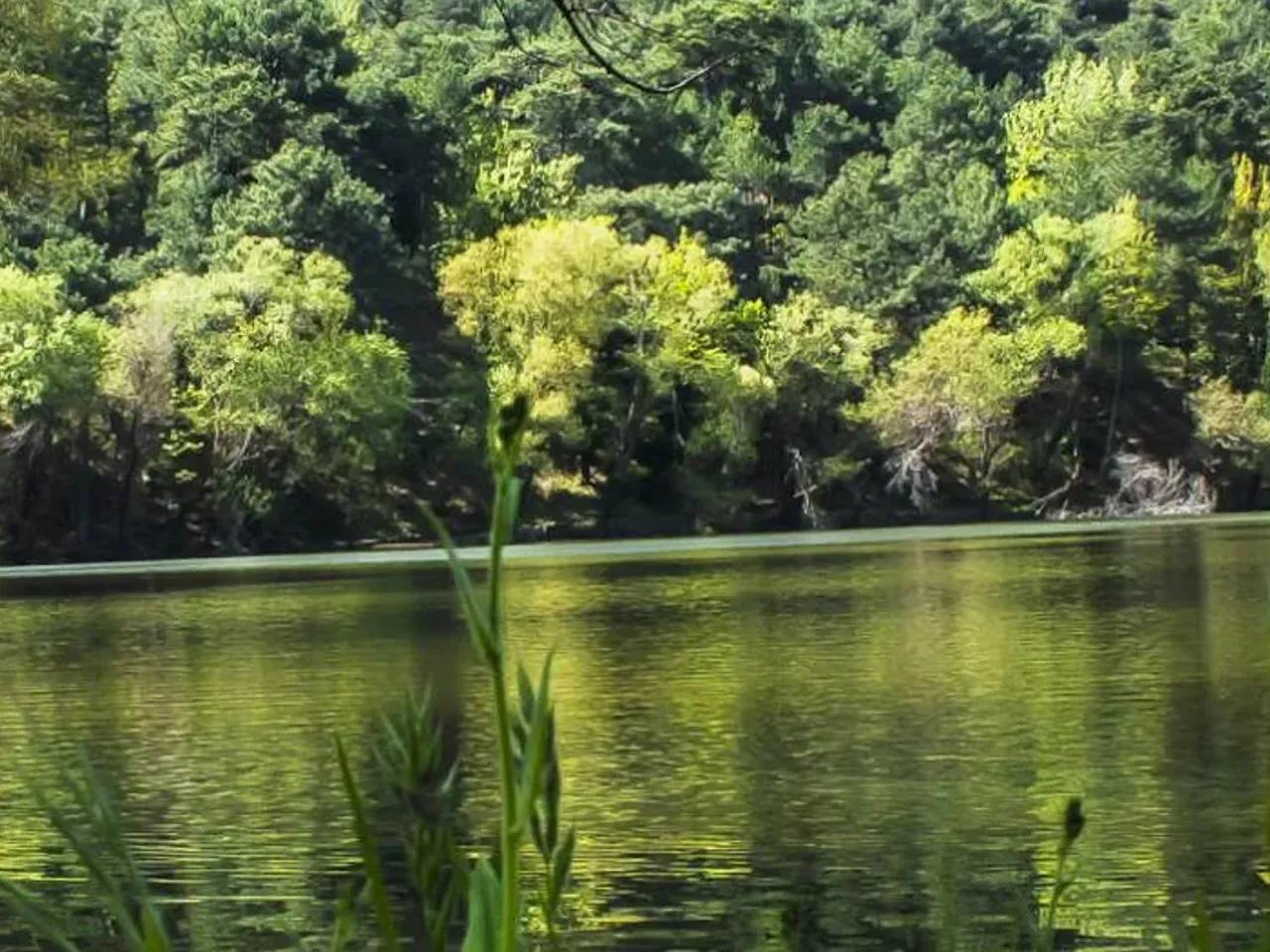 İzmir Karagöl Tabiat Parkı