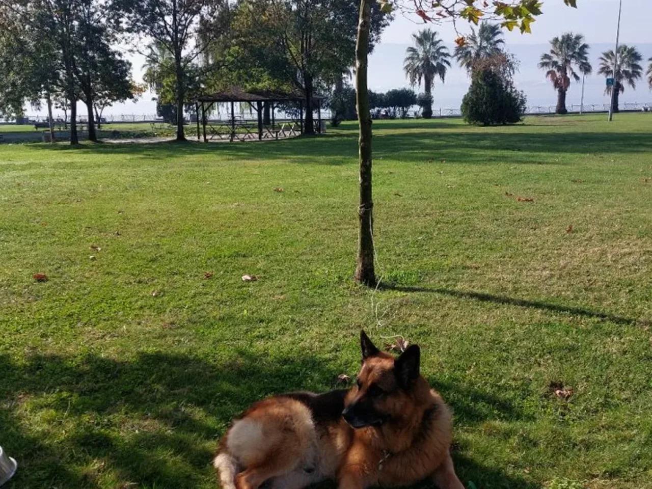 İzmit,14 Sahil Sokak - 3