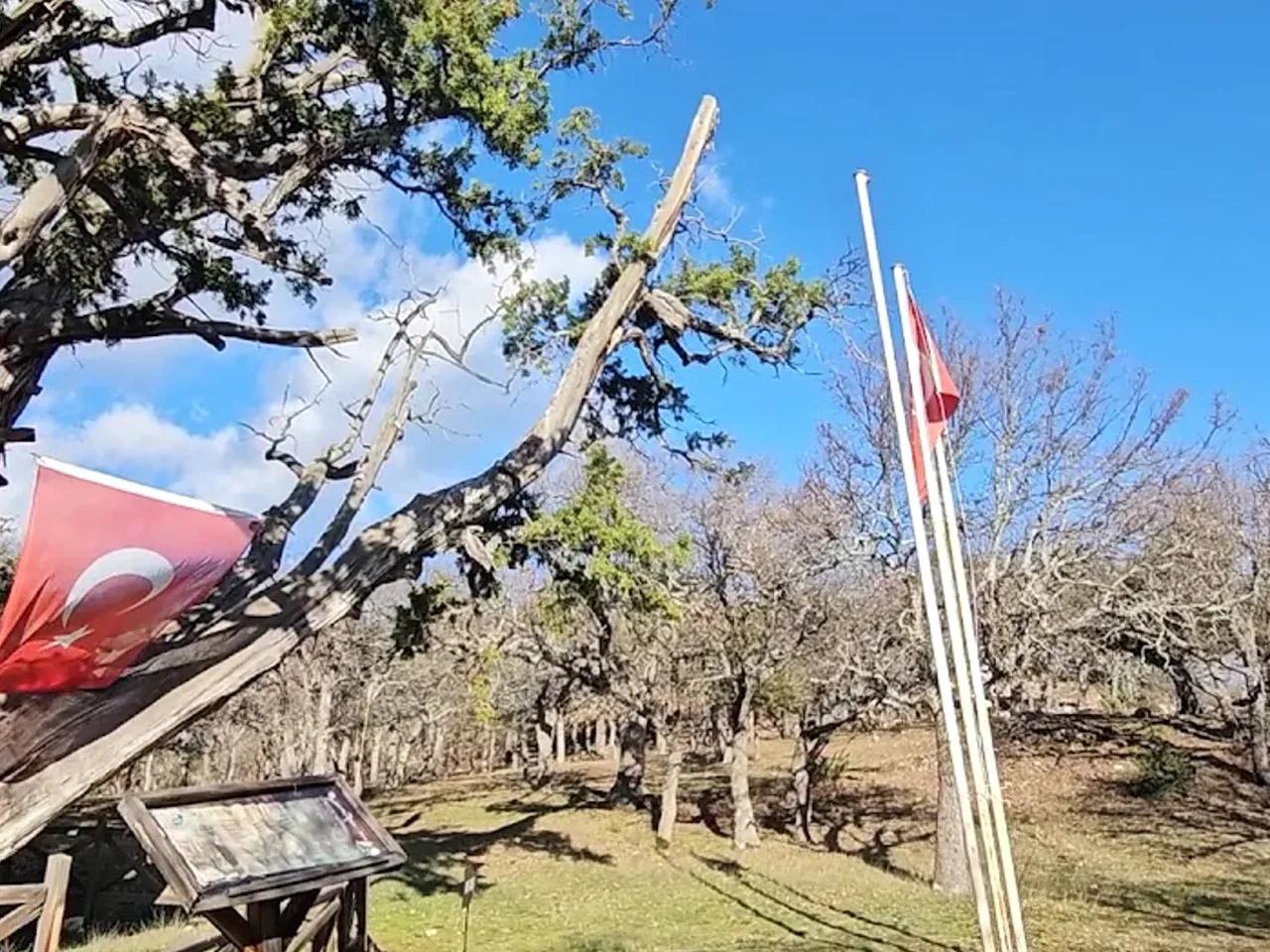 Kabaardıç Tabiat Anıtı - 2