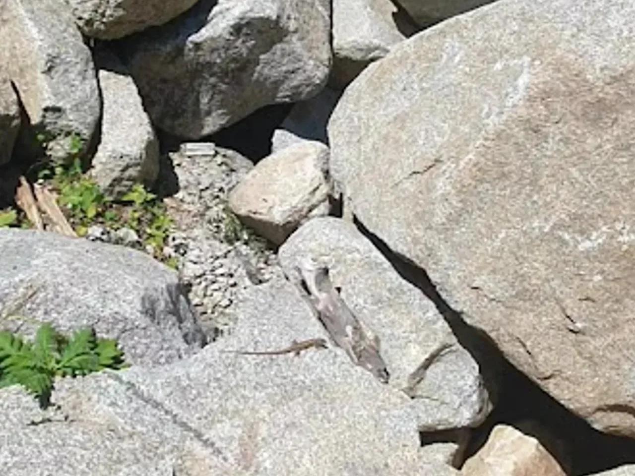 Kaçkar Dağları Milli Parkı - 2