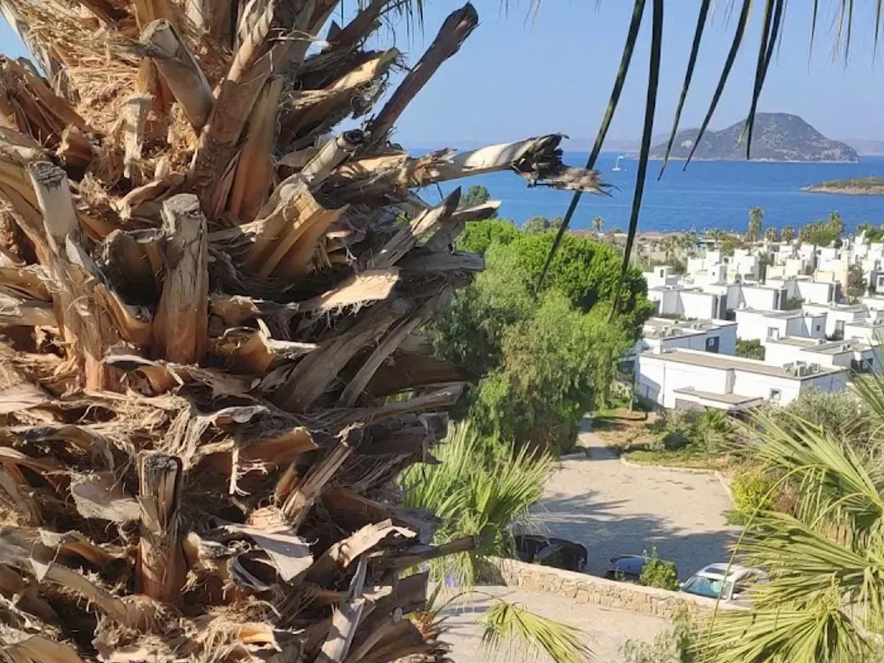 Kadikale Resort, Club Armonia Bodrum Evleri - 4
