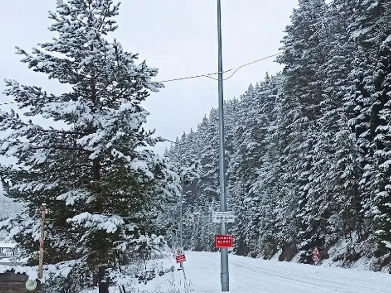 Kadınçayırı Tabiat Parkı