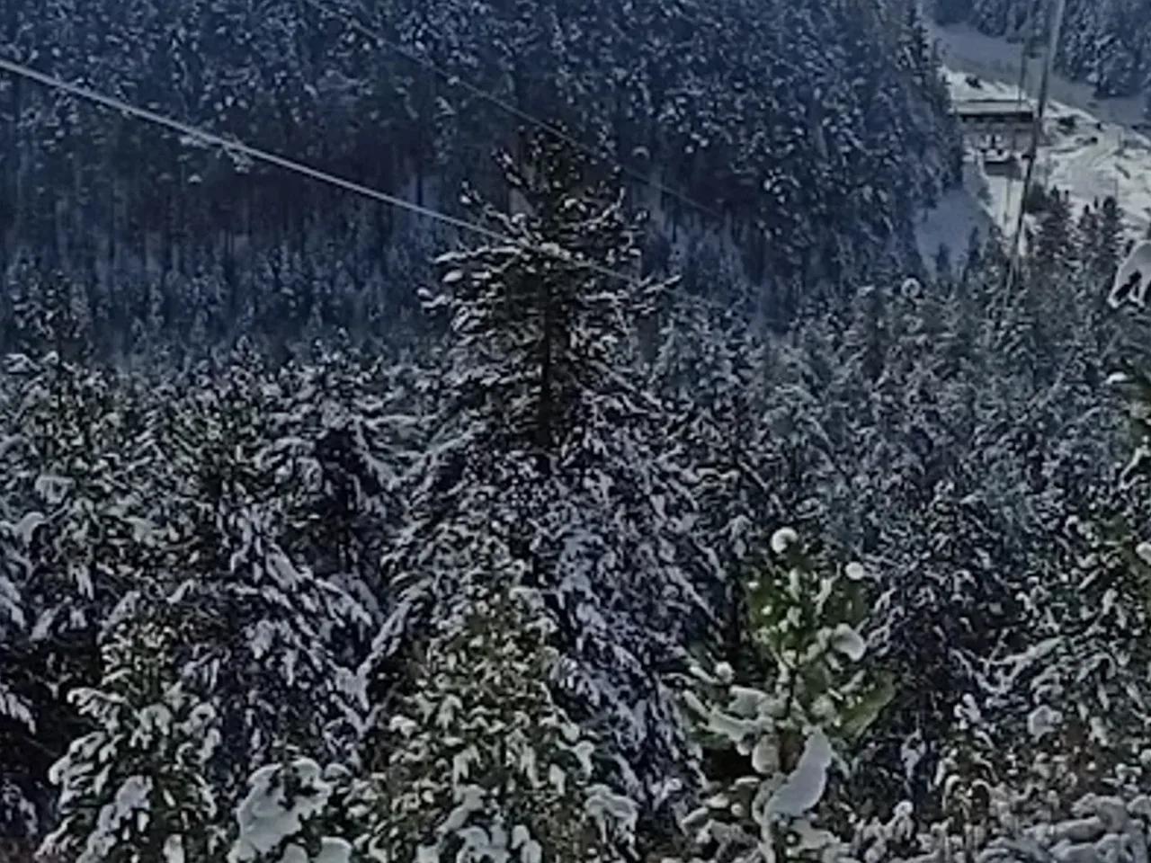 Kadınçayırı Tabiat Parkı - 3