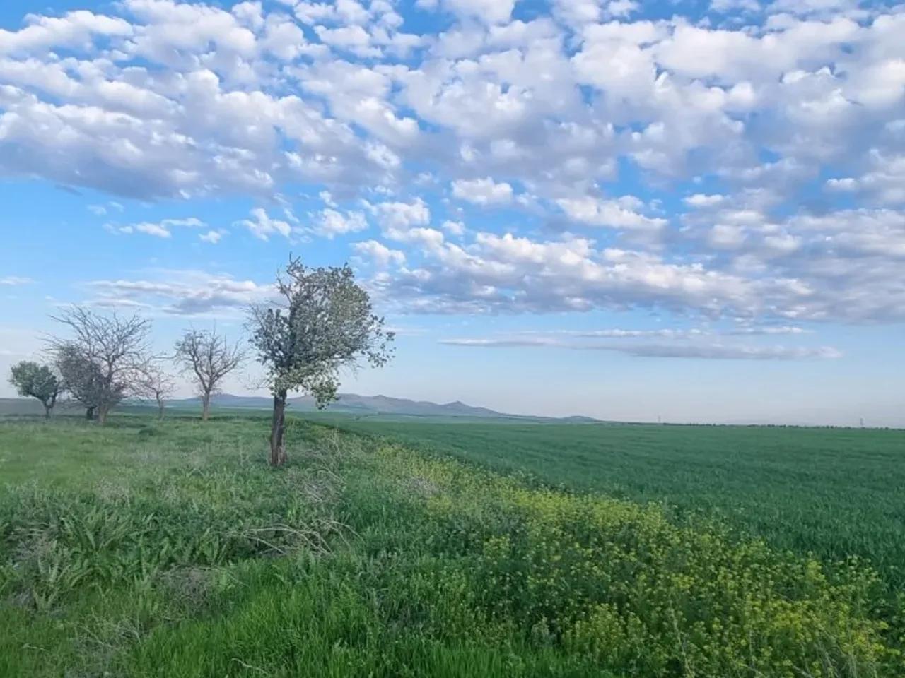 Kadınhanı Yolu - 2