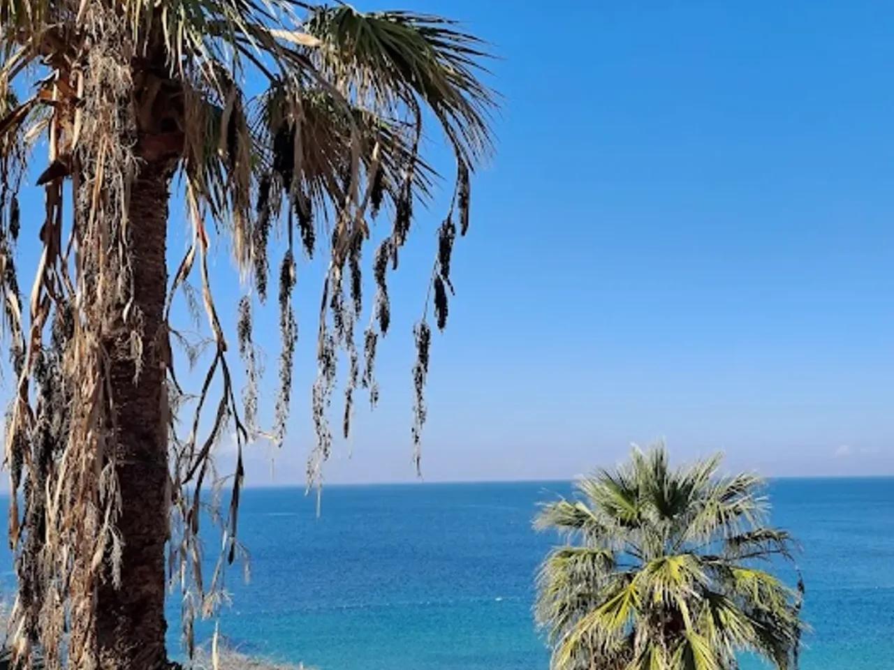 Kadinlar Denizi - 2
