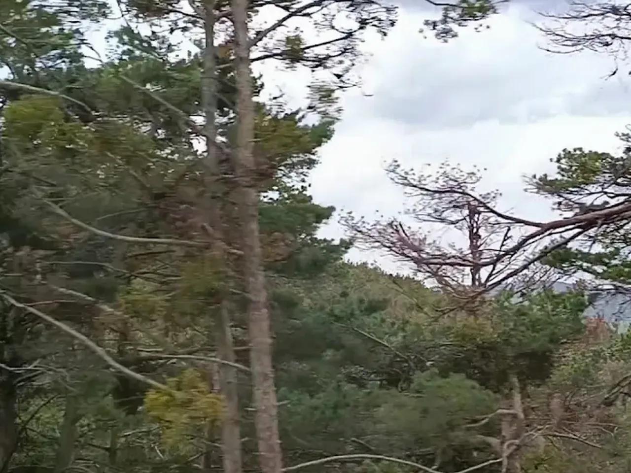 Kadıpınarı Tabiat Parkı - 2