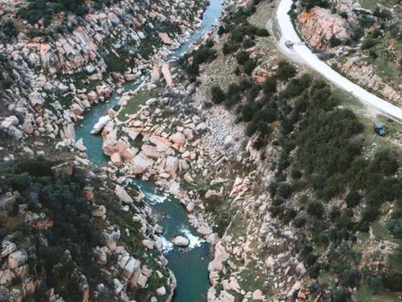 Kafacakaplancık, - 3