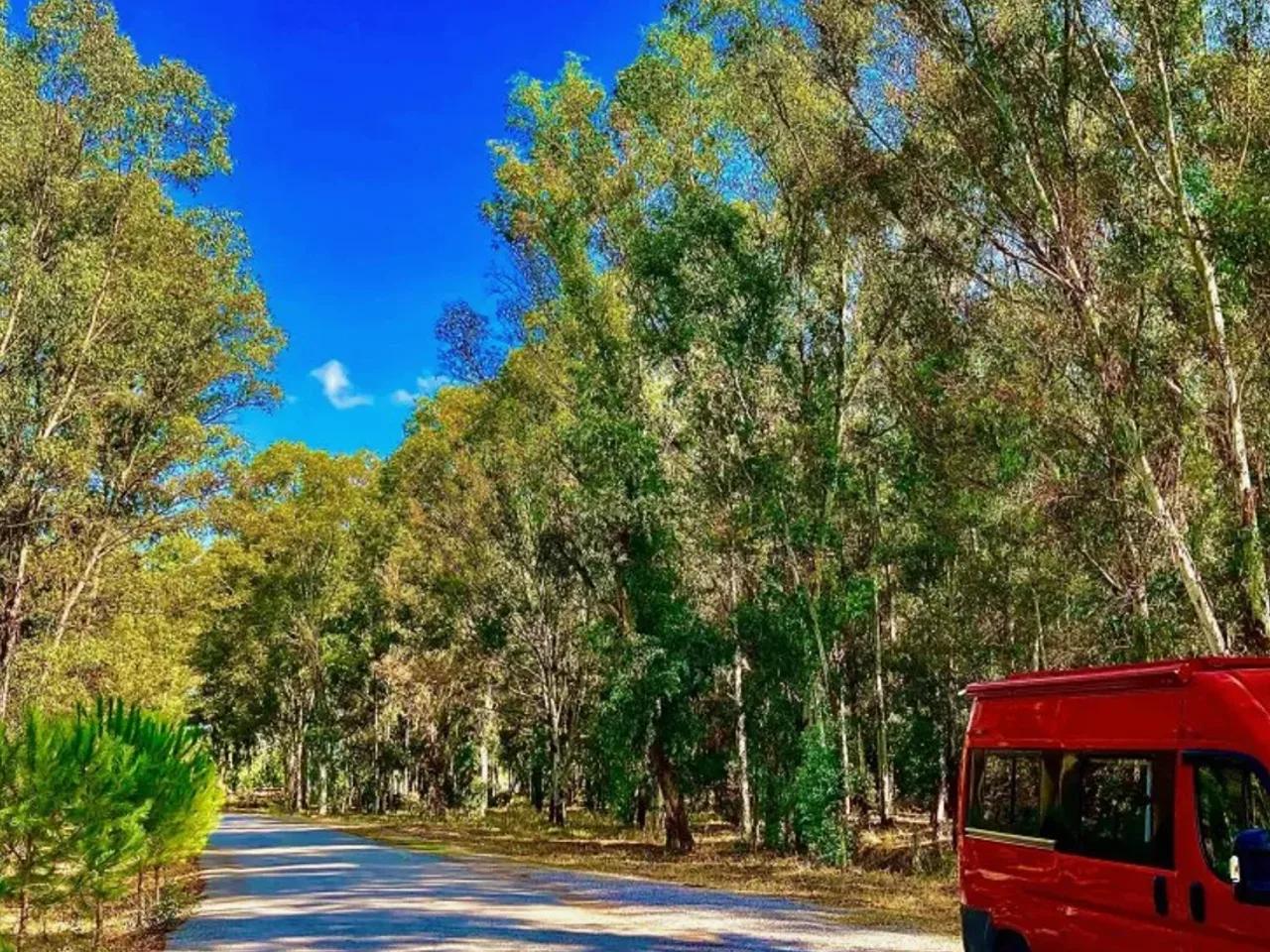 Kaklıç,Sasalı Piknik Alanı - 2