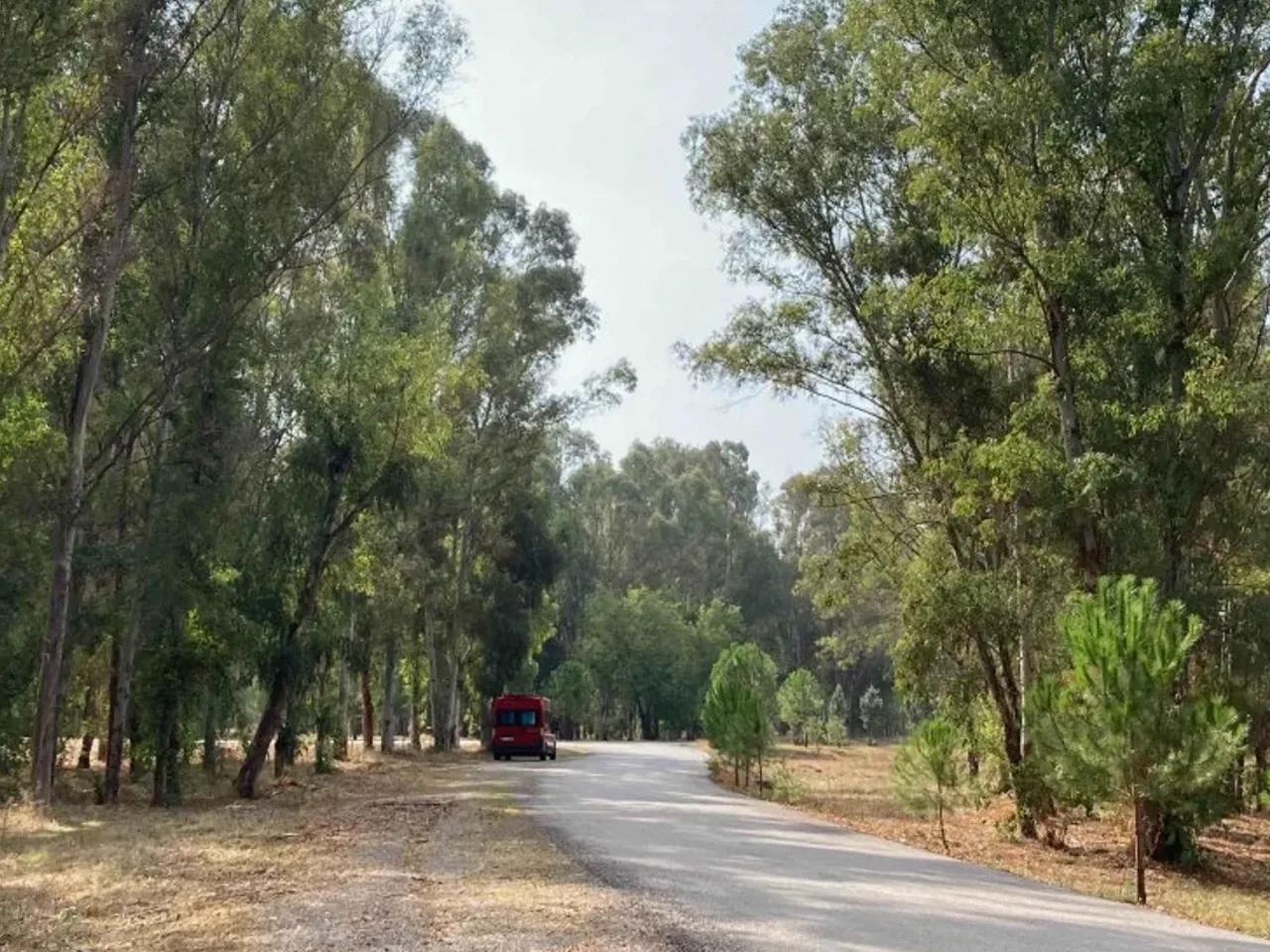 Kaklıç,Sasalı Piknik Alanı - 3