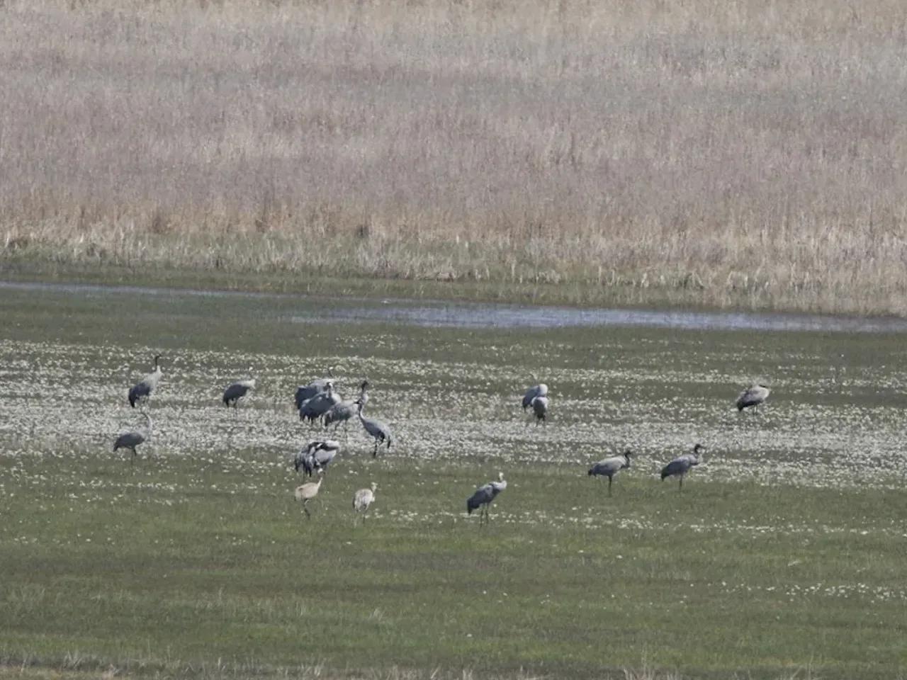Kanibük Yaylası - 2