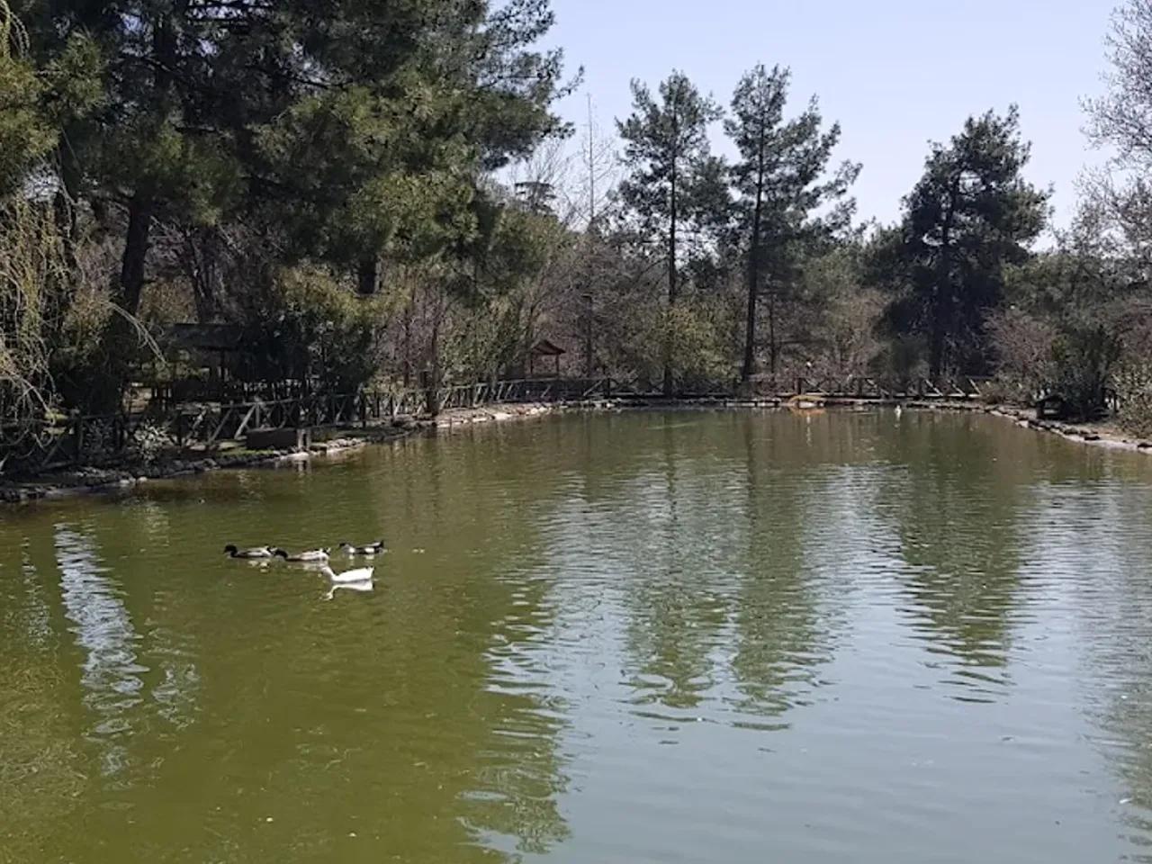 Kapıçam Tabiat Parkı - 1