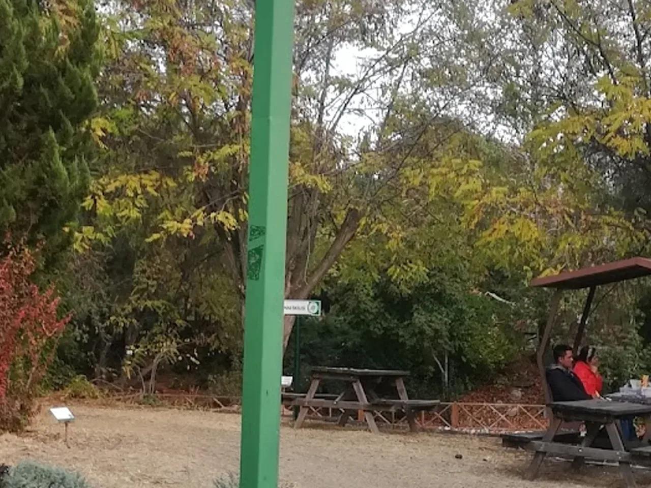 Kapıçam Tabiat Parkı - 4